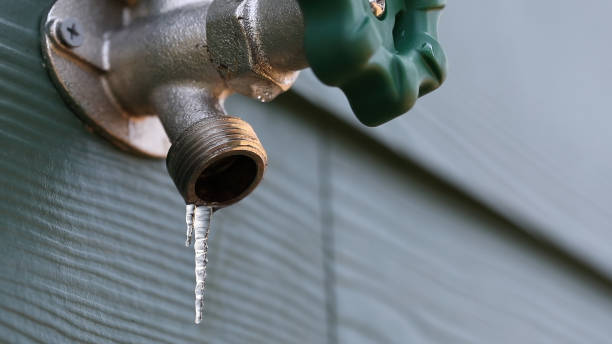 Best Commercial Plumbing Services  in Palouse, WA
